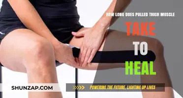 Pulled Thigh Muscle Recovery Time: Healing Process and Timeline Explained