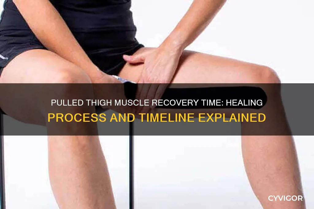 how long does pulled thigh muscle take to heal