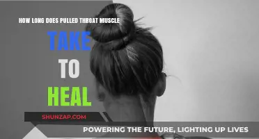 Pulled Throat Muscle Recovery Time: Healing Process and Timeline Explained