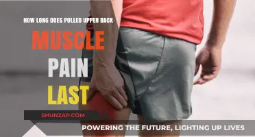 Pulled Upper Back Muscle Pain: Duration and Recovery Timeline Explained