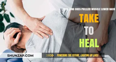 Road to Recovery: Healing Time for a Pulled Lower Back Muscle