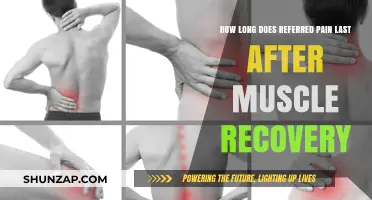 Understanding Referred Pain Duration Post-Muscle Recovery: What to Expect