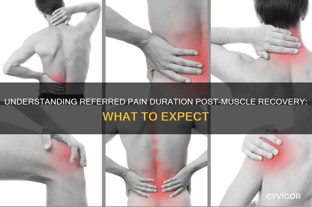 how long does referred pain last after muscle recovery