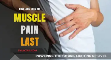 Understanding Rib Muscle Pain Duration: Causes, Relief, and Recovery Timeline