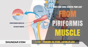 Sciatic Pain Duration: Piriformis Muscle's Role and Recovery Timeline