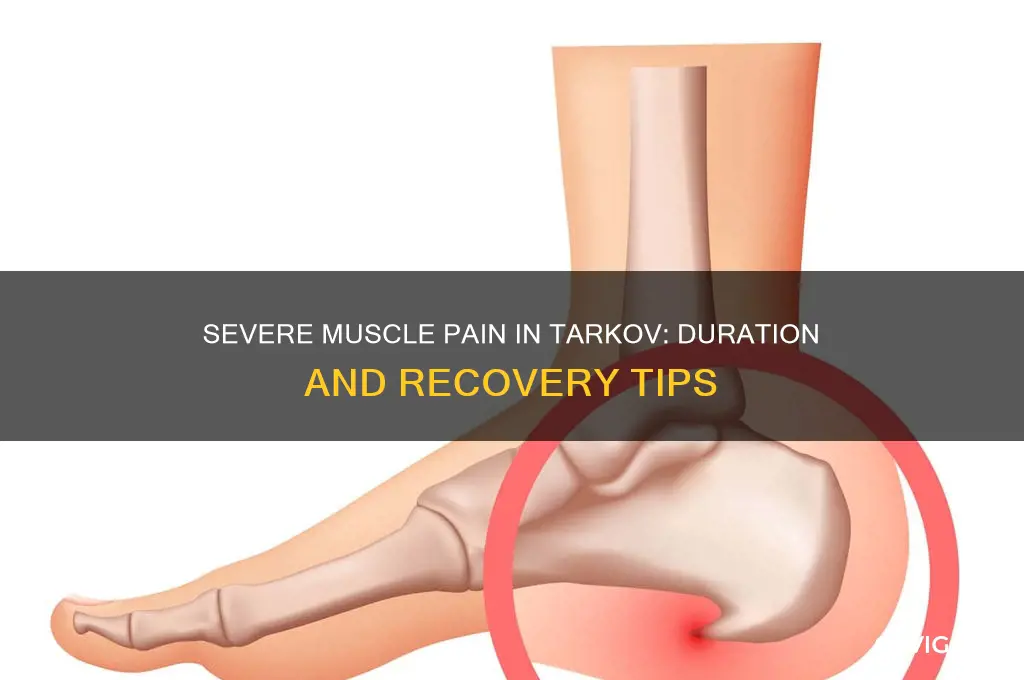 how long does severe muscle pain last tarkov