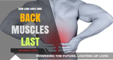 Understanding Back Muscle Soreness: Duration and Relief Tips