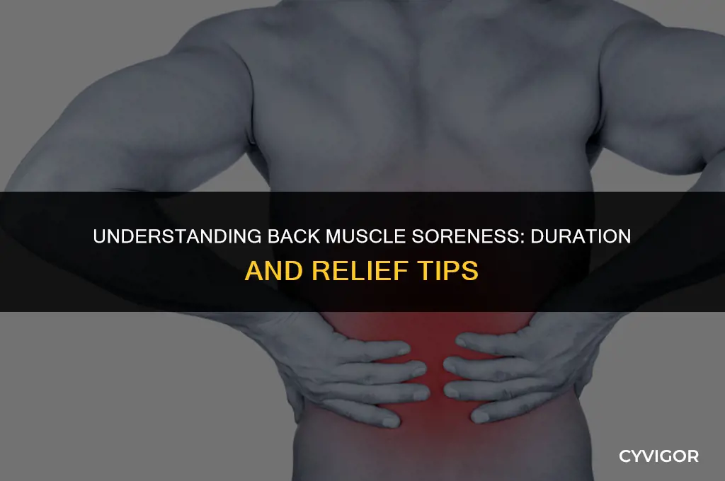 how long does sore back muscles last