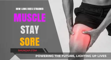 Strained Muscle Soreness: Understanding Recovery Time and Healing Process