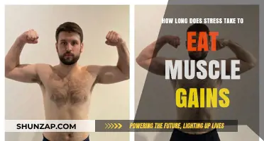 Stress and Muscle Loss: How Quickly Does It Impact Gains?