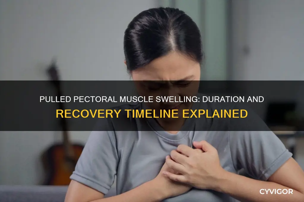 how long does swelling last for a pulled pectoral muscle