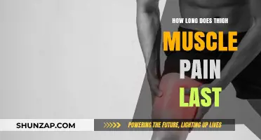 Understanding Thigh Muscle Pain Duration: Causes, Recovery, and Relief Tips