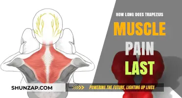 Trapezius Muscle Pain Duration: Understanding Recovery Time and Relief