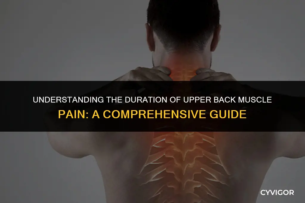 how long does upper back muscle pain last