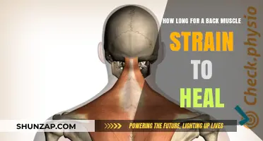 Back Muscle Strain Recovery: A Timeline for Healing and Relief