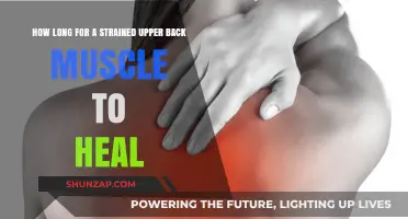 Healing Time: Strained Upper Back Muscle Recovery Guide