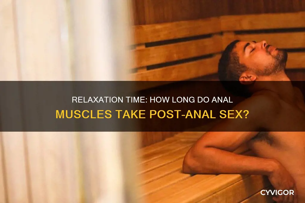how long for anal muscles to relax after anal sex