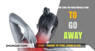 Relief Timeline: Understanding the Duration of Back Muscle Pain