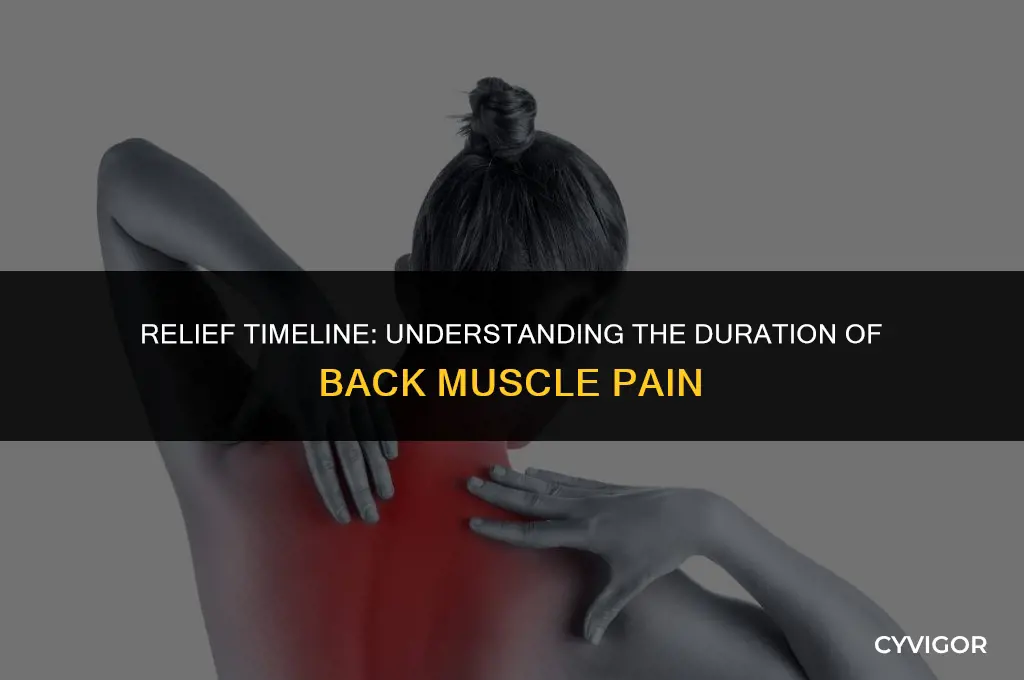 how long for back muscle pain to go away