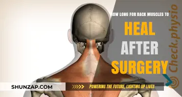 Road to Recovery: Healing Time for Back Muscles Post-Surgery