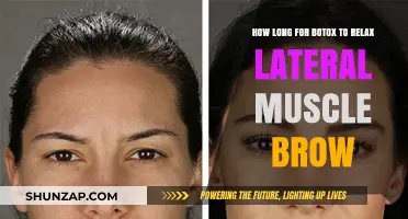 Botox for Brow Relaxation: Timing to Ease Lateral Muscle Tension