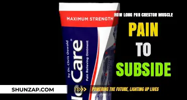 Crestor Muscle Pain Relief: How Long Until Symptoms Subside?