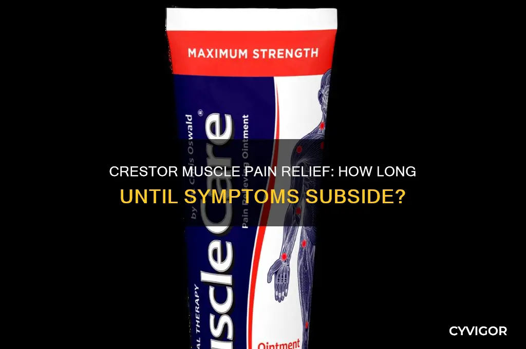 how long for crestor muscle pain to subside