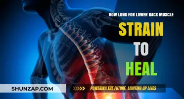 Road to Recovery: Healing Time for Lower Back Muscle Strain