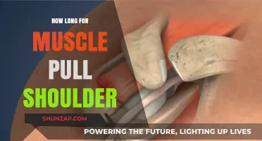Healing Timeline: Recovering from a Pulled Shoulder Muscle Effectively
