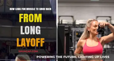 Rebuilding Strength: The Journey Back to Muscle Growth After a Layoff