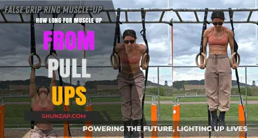 Mastering the Muscle-Up: Progression Timeline from Pull-Ups to Advanced