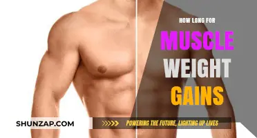 Muscle Weight Gains: Understanding the Timeline for Visible Results