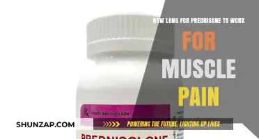 Prednisone for Muscle Pain: How Long Until Relief Kicks In?