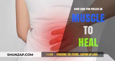 Pulled Ab Muscle Recovery Time: Healing Process and Tips for Relief