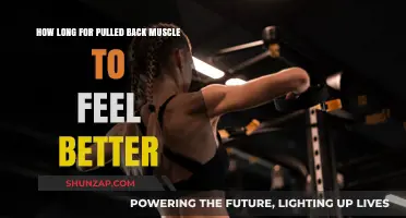 Pulled Back Muscle Recovery Time: What to Expect for Relief