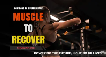 Pulled Back Muscle Recovery Time: What to Expect and How to Heal