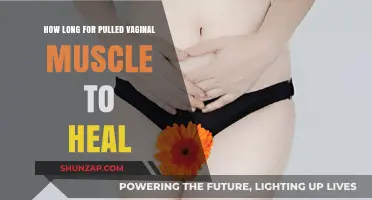 Healing Time for Pulled Vaginal Muscle: What to Expect
