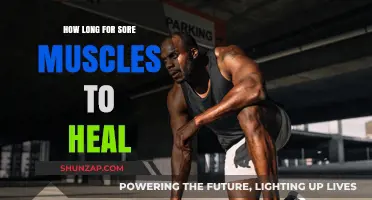 Sore Muscles Recovery Time: How Long Does Healing Really Take?