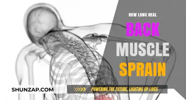 Recovering from a Back Muscle Sprain: Timeline and Tips
