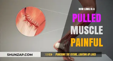 Pulled Muscle Pain Duration: What to Expect and How to Heal