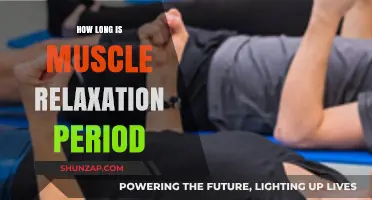 Understanding the Duration of Muscle Relaxation After Exercise or Stress