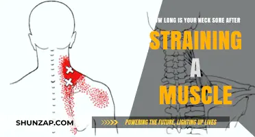 Neck Strain Recovery: How Long Does Muscle Soreness Typically Last?