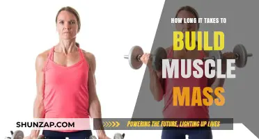 From Skinny to Strong: The Realistic Timeline for Building Muscle Mass