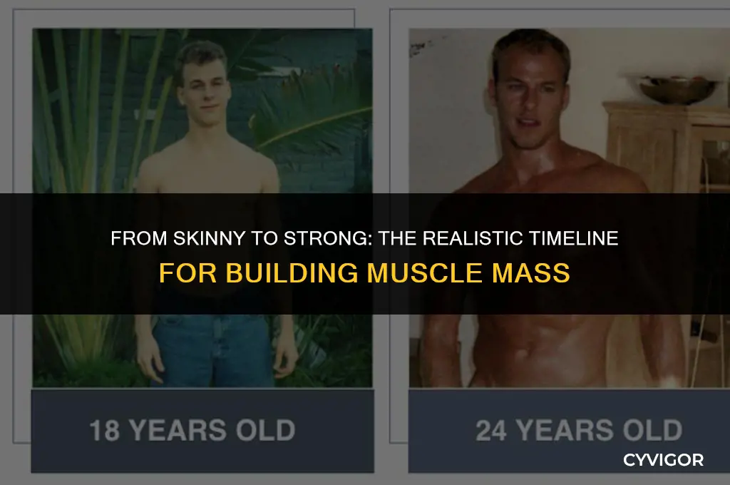 how long it takes to build muscle mass