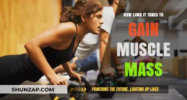 Muscle Mass Gains: Understanding the Timeframe for Visible Results