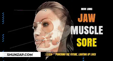 Jaw Muscle Soreness: Causes, Duration, and Effective Relief Tips