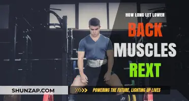 Optimal Rest for Lower Back Muscles: A Comprehensive Guide