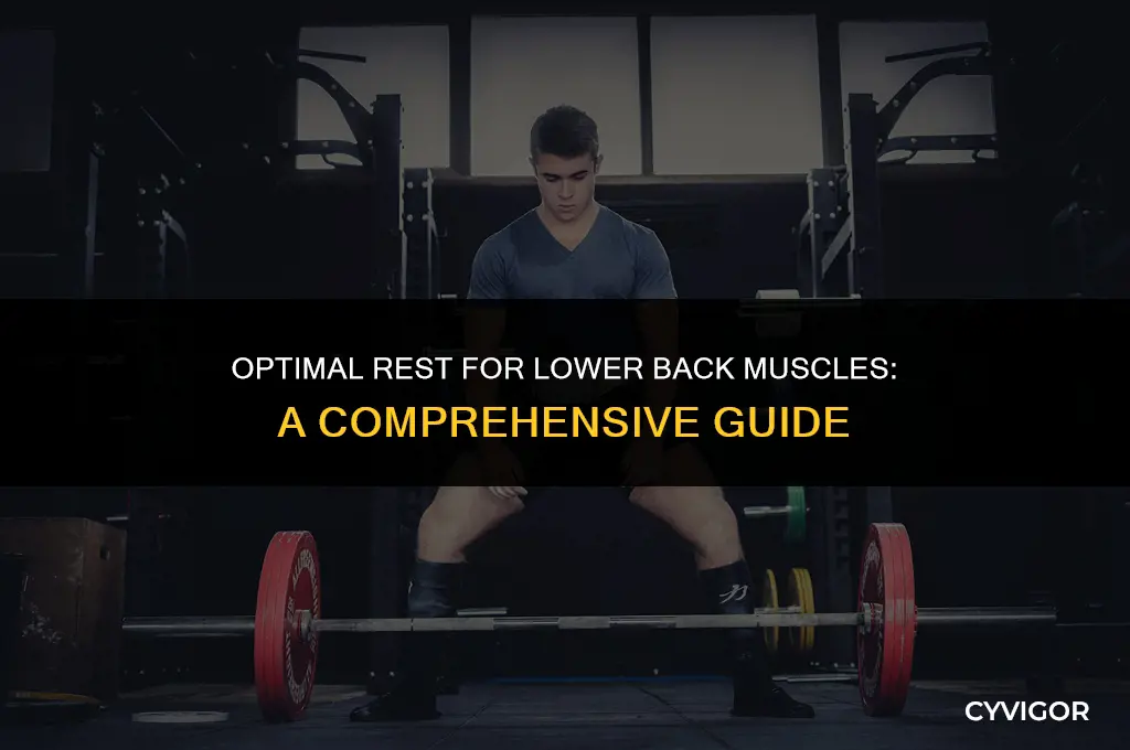 how long let lower back muscles rext