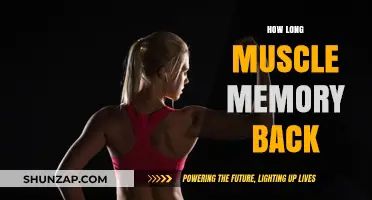 Reviving Muscle Memory: A Timeline for Regaining Lost Strength