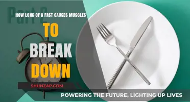 Fasting's Impact: Muscle Breakdown and Duration